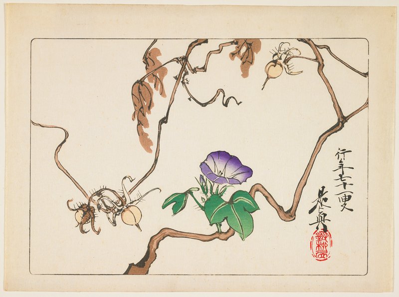 Vine and Seeds of Morning Glory, Shibata Zeshin, 1877