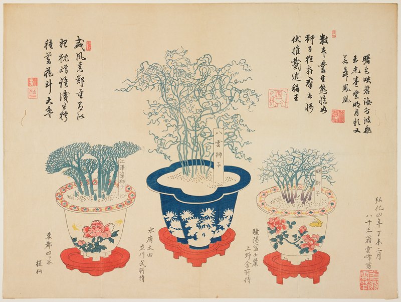 (Potted plants named after lions), Ōoka Unpō, 1847, 2nd month