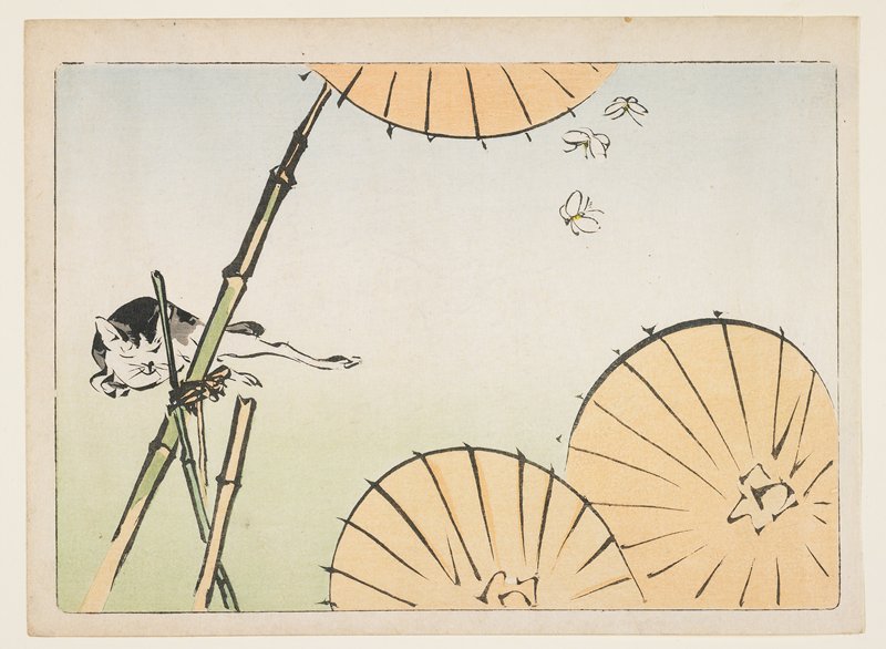 (Bamboo, umbrellas, a cat and butterflies), Shibata Zeshin, c. 1877