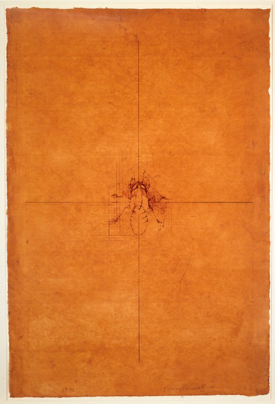 The Four Corners, Plate II, Nancy Randall, 1980