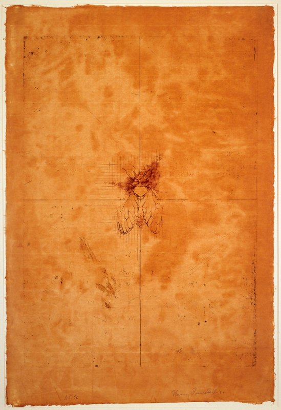 The Four Corners, Plate IV, Nancy Randall, 1980