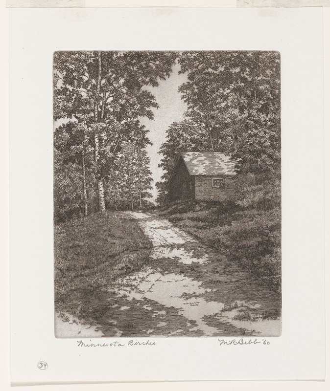 Minnesota Birches, Maurice R. Bebb, 1960