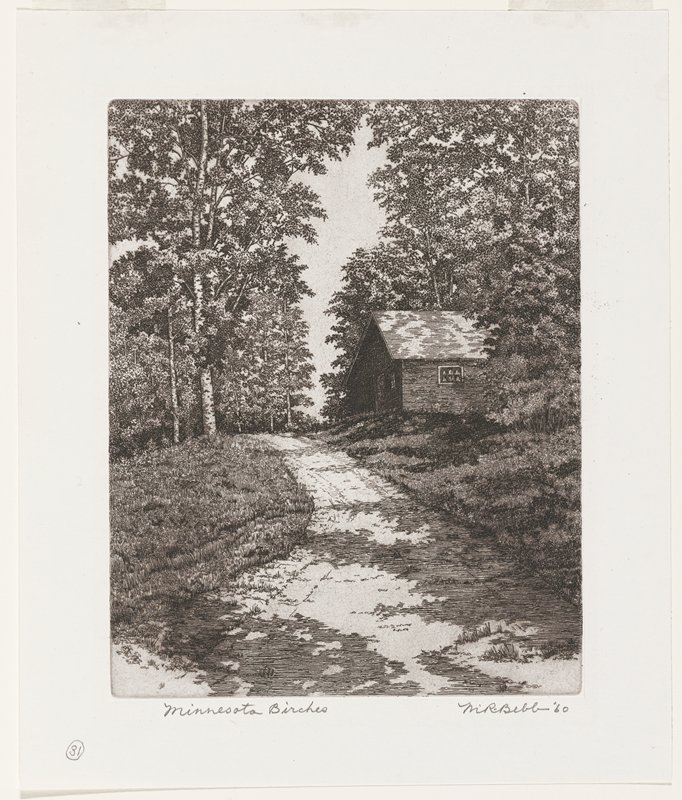 Minnesota Birches, Maurice R. Bebb, 1960