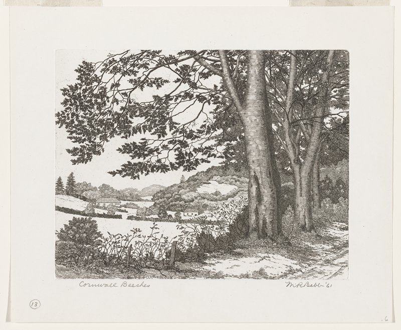 Cornwall Beeches, 1961, Maurice R. Bebb, 1961