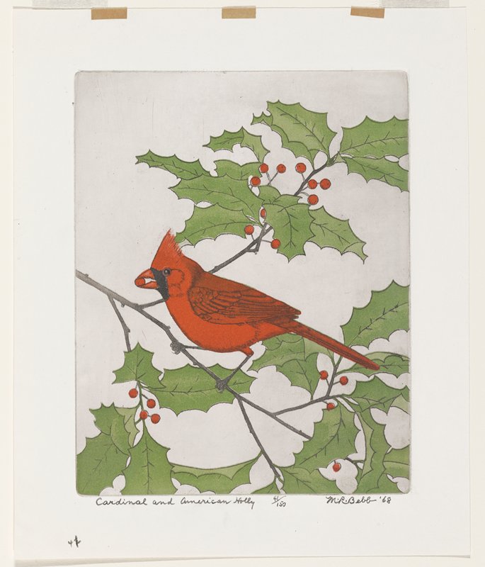 Cardinal on American Holly, Maurice R. Bebb, 1968