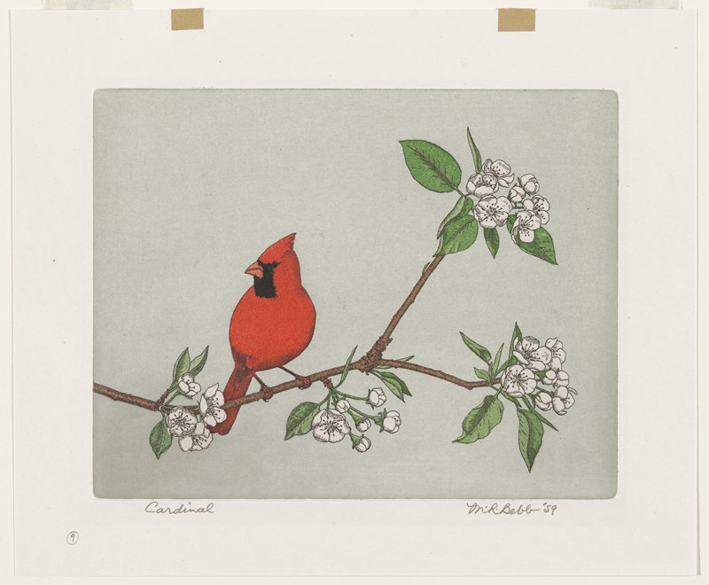 Cardinal, Maurice R. Bebb, 1959