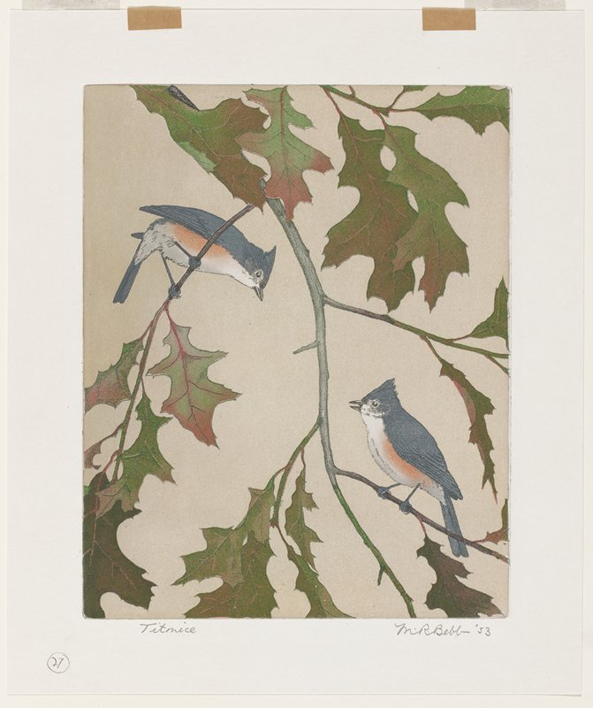 Titmice, Maurice R. Bebb, 1953