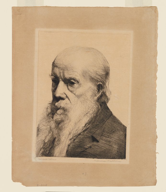 Garibaldi Veteran, Cadwallader Washburn, 19th century
