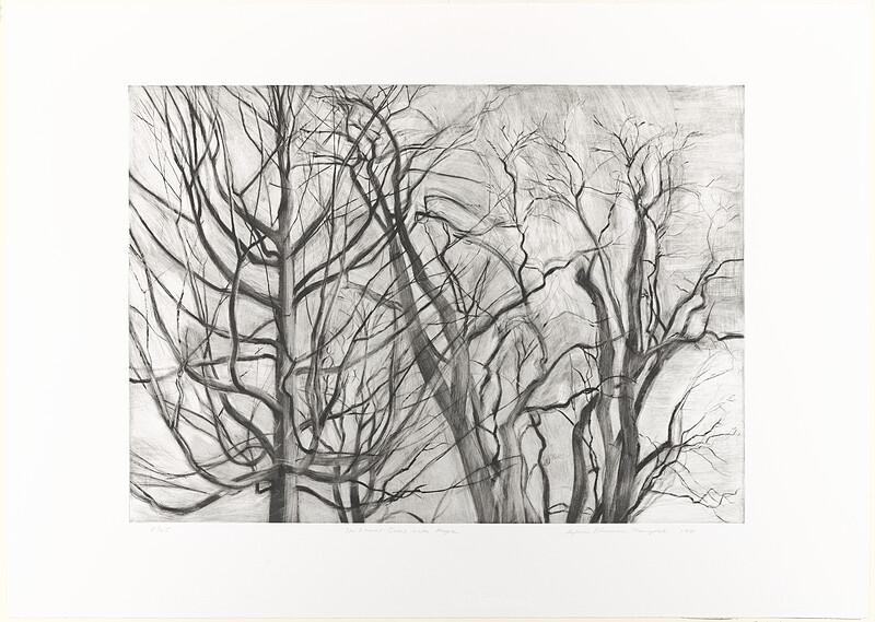 The Locust Trees with Maple, Sylvia Plimack Mangold, 1991