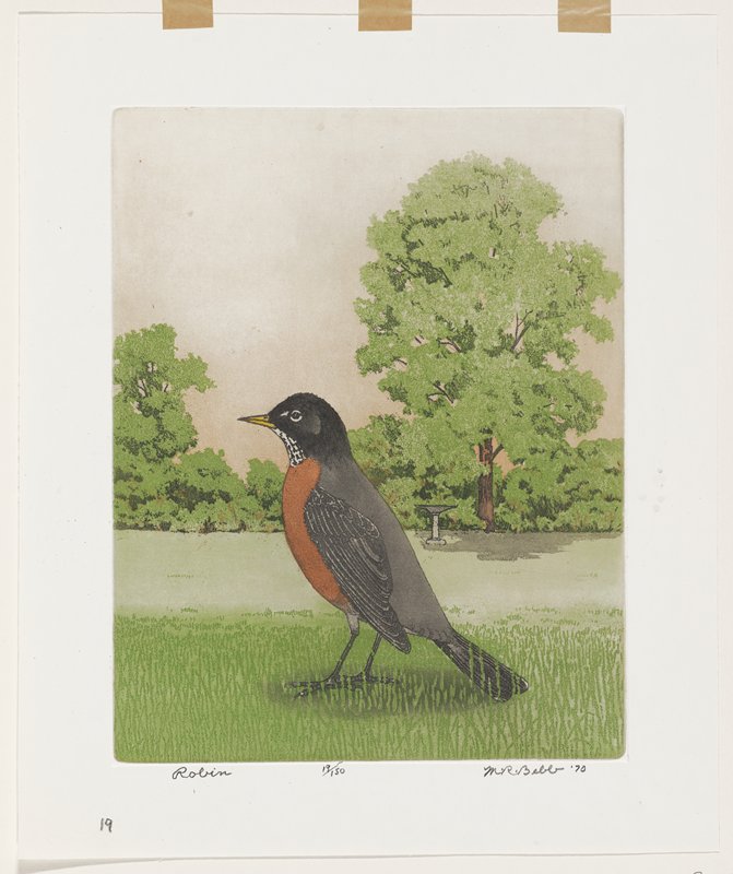Robin, Maurice R. Bebb, 1970