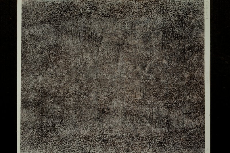 Symbioses, Jean Dubuffet, 1959
