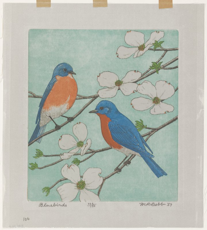 Bluebirds, Maurice R. Bebb, 1957
