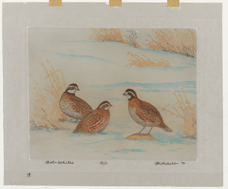 Bob-Whites, Maurice R. Bebb, 1971