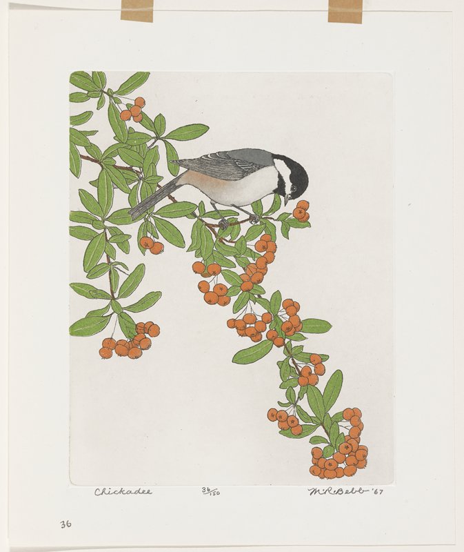 Chickadee, Maurice R. Bebb, 1967