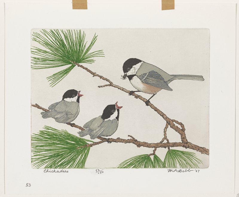 Chickadees, Maurice R. Bebb, 1967