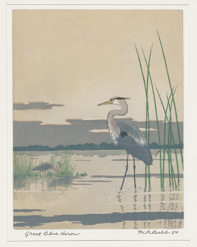 Great Blue Heron, Maurice R. Bebb, 1954