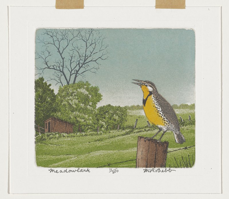 Meadowlark, Maurice R. Bebb, 20th century
