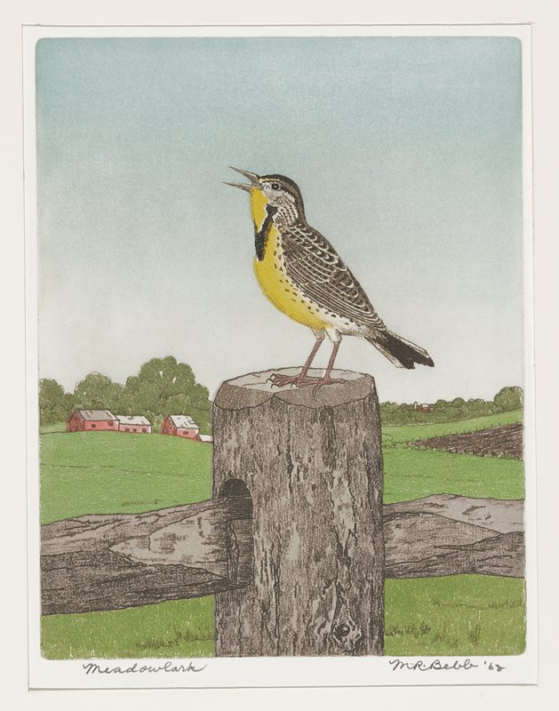 Meadowlark, Maurice R. Bebb, 1962