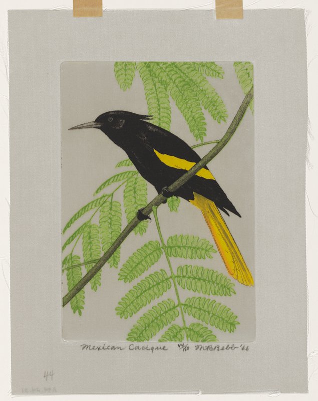 Mexican Cacique, Maurice R. Bebb, 1966