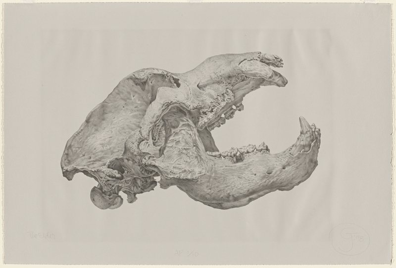 The Elder, Gendron Jensen, 1998
