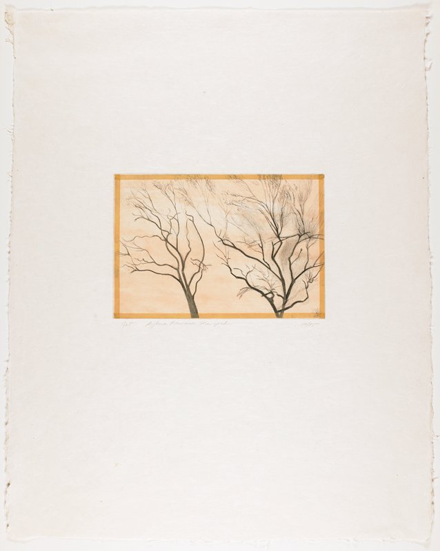 Nut Trees (Yellow), Sylvia Plimack Mangold, 1985