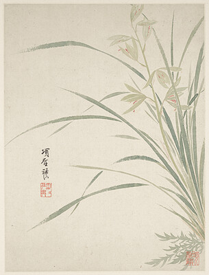 Epidendrum Blossom from a Flower Album of Ten Leaves, Xiang Shengmo, 1656