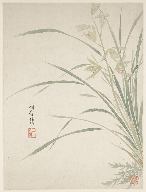 Epidendrum Blossom from a Flower Album of Ten Leaves, Xiang Shengmo, 1656