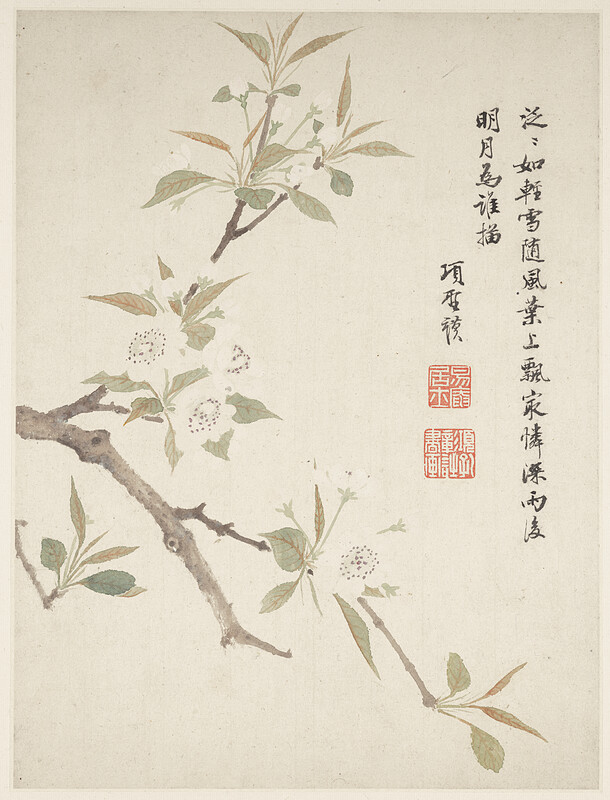 Pear Blossom from a Flower Album of Ten Leaves, Xiang Shengmo, 1656