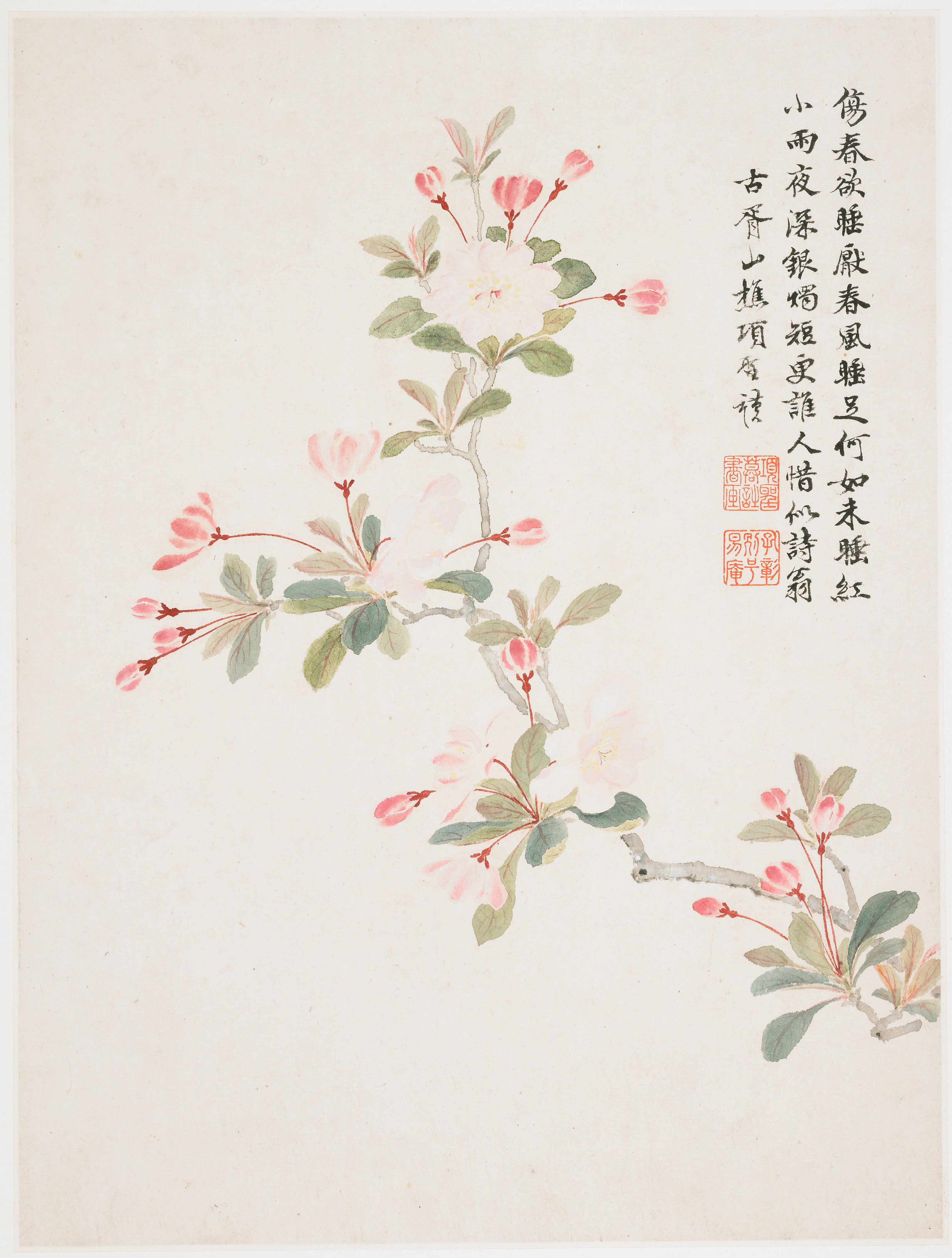 Crab-apple Blossom from a Flower Album of Ten Leaves, Xiang