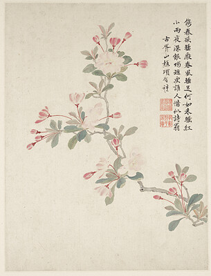Crab-apple Blossom from a Flower Album of Ten Leaves, Xiang Shengmo, 1656