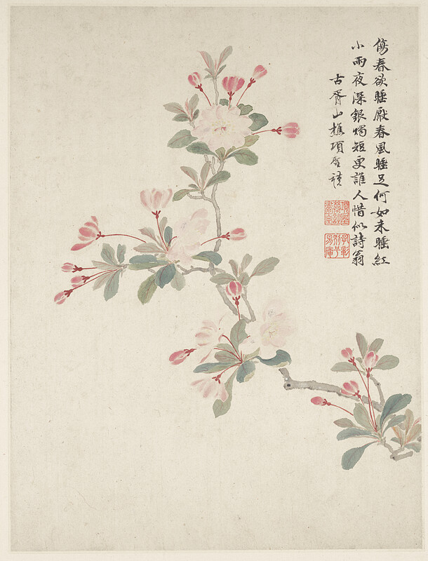 Crab-apple Blossom from a Flower Album of Ten Leaves, Xiang Shengmo, 1656