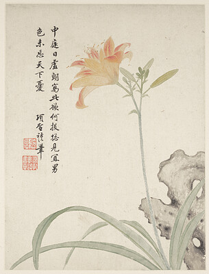 Day-Lily from a Flower Album of Ten Leaves, Xiang Shengmo, 1656
