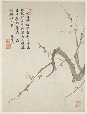Blossoming plum from a Flower Album of Ten Leaves, Xiang Shengmo, 1656