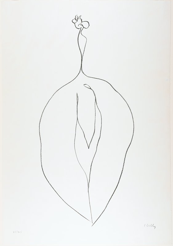 Seaweed, Ellsworth Kelly, 1965–66