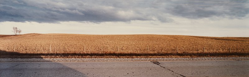 Fall Field, Webster County, Iowa, Stuart D. Klipper, 1983