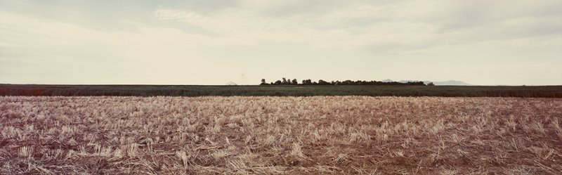 Wheat Ranch Near Great Falls, Montana, Stuart D. Klipper, 1981