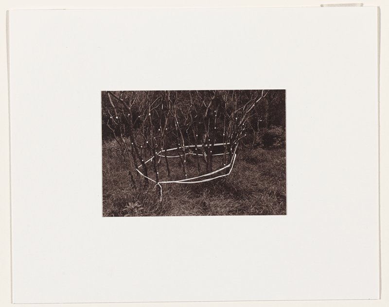 Birthday Memoir, Linda Gammell, 1977