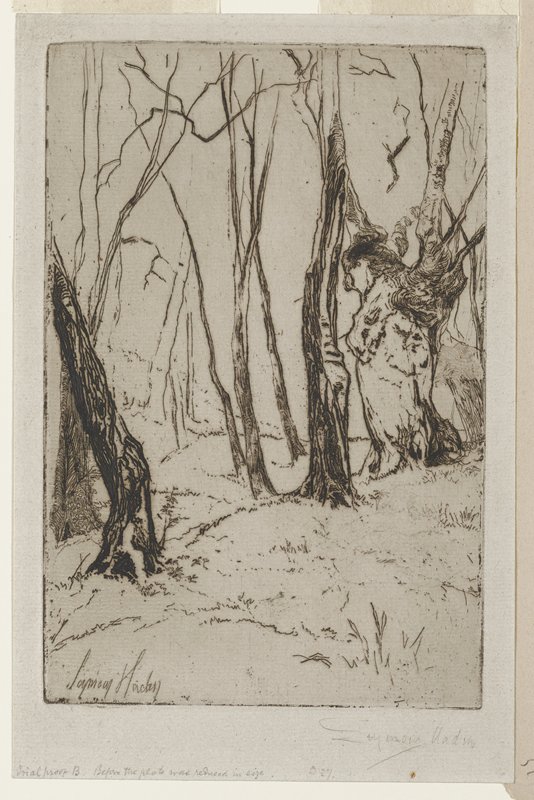 Stems (A Study), Francis Seymour Haden, 1859