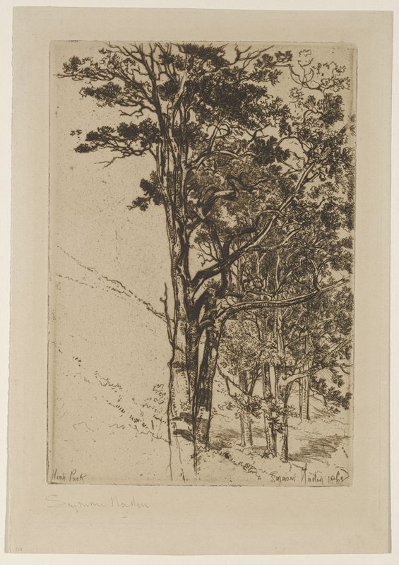 Firs (A Study), Francis Seymour Haden, 1868