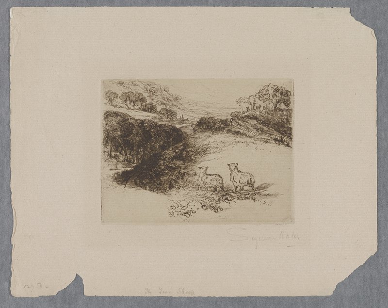 The Two Sheep, Francis Seymour Haden, 19th century