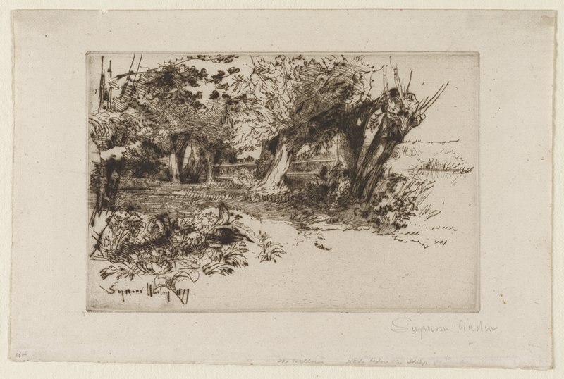 The Willows, Francis Seymour Haden, 1877