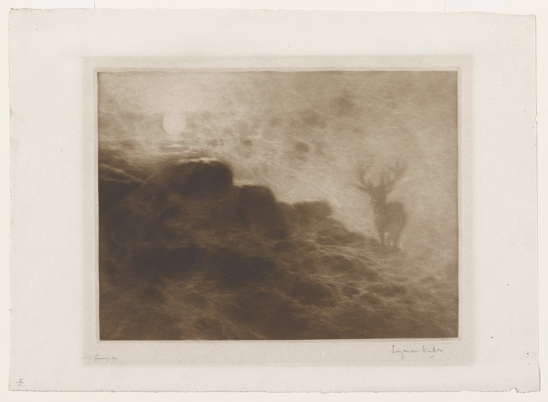 An Early Riser, Francis Seymour Haden, 1897