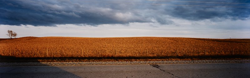 Fall Field, Webster County, Iowa, Stuart D. Klipper, 1983