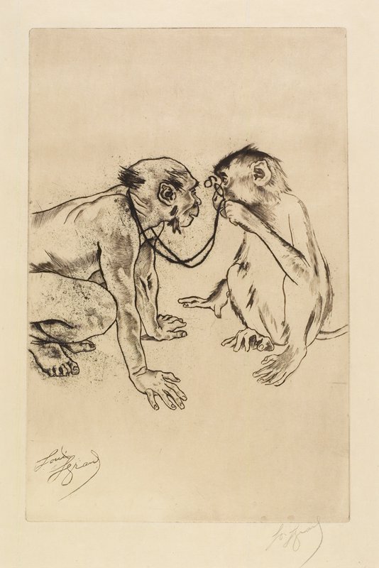 Anatomie comparée, Louis Legrand, 19th century