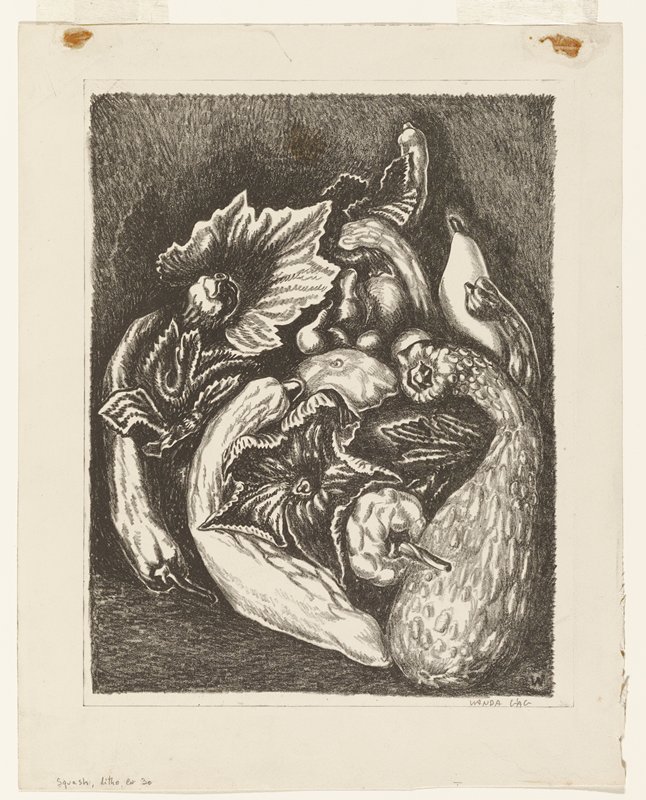 Squash, Wanda Gág, 1926