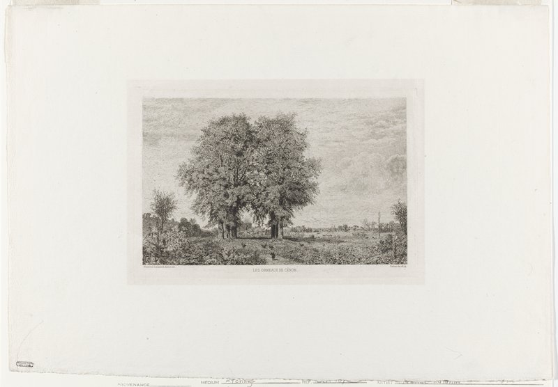 Les Ormeaux de Cénon, Maxime Lalanne, 19th century