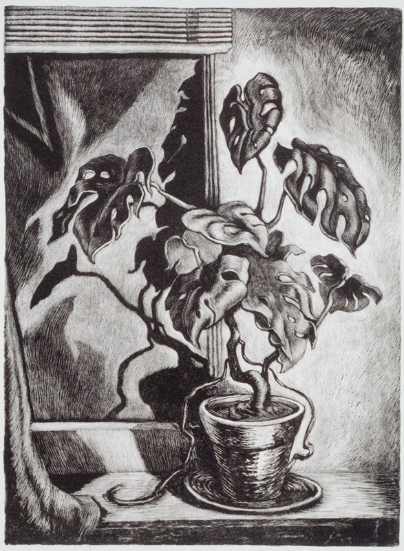 Philodendron, Wanda Gág, 1908–46