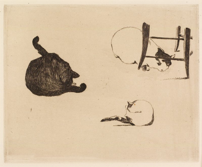 The Cats, Édouard Manet, 1869