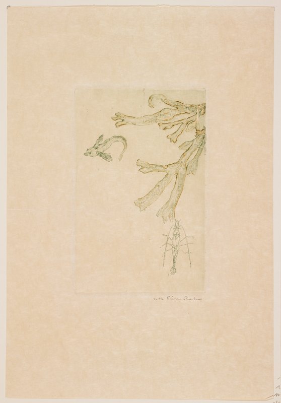 Algues marines (Sea Algae), Pierre Roche, 1893