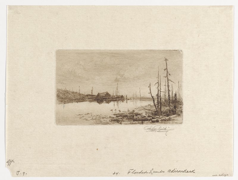 Flooded Lands, Adirondacks, Stephen Parrish, 19th century